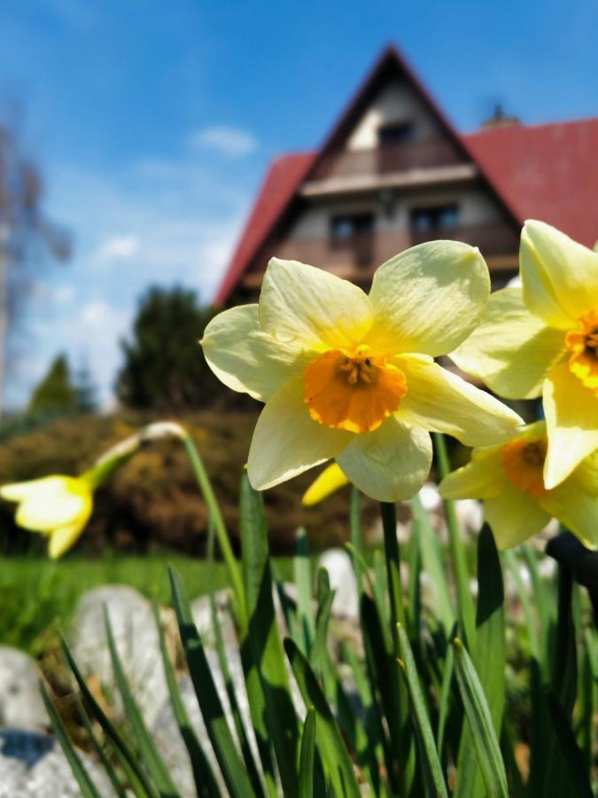 Dom Na Brzyzku Hotel Poronin Kültér fotó