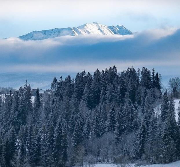 Dom Na Brzyzku Hotel Poronin Kültér fotó